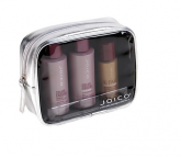 Joico Color Endure Kit Shampoo + Condicionador+color Therapy